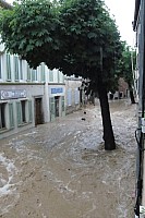 Figanieres_04.jpg Figanieres_04.jpg